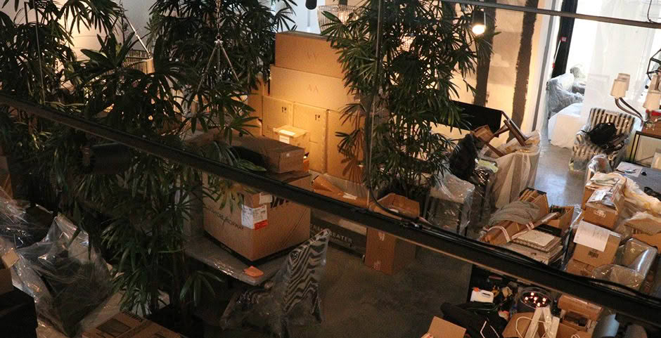 Busy warehouse interior with boxes and indoor plants