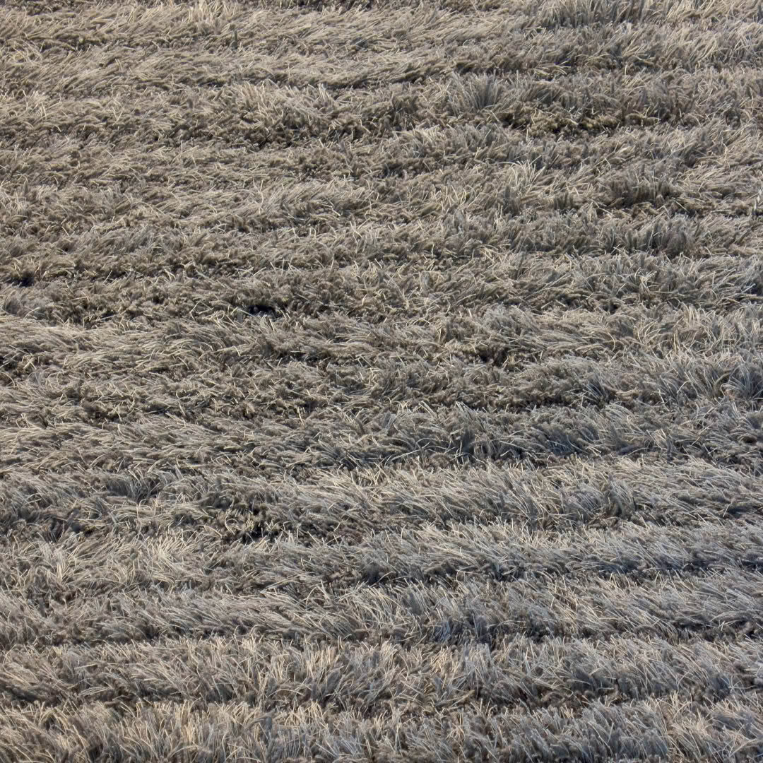 Aapa-col.--warm-grey_wool-linen_tufted-carpet