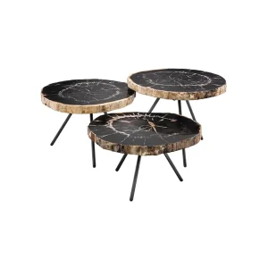 DE SOTO COFFEE TABLE SET OF 3 - DARK PETRIFIED WOOD