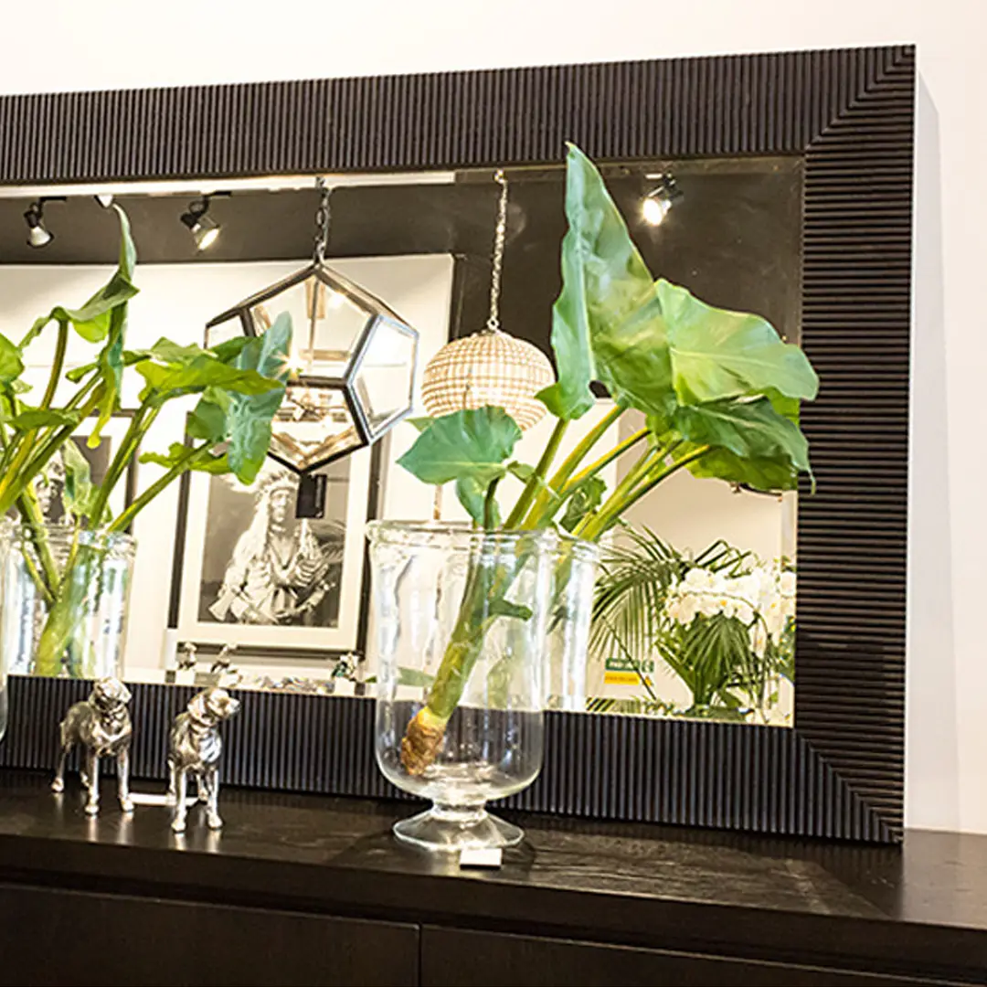 Elegant interior with plants and mirror decoration