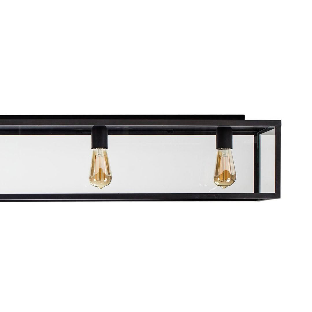 Modern rectangular light fixture with two exposed bulbs