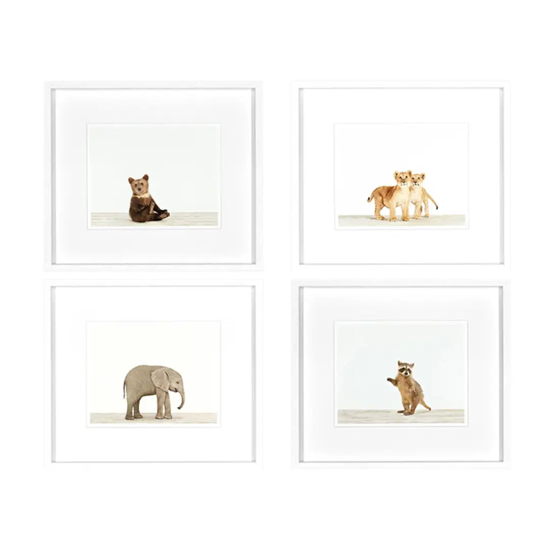 Framed artwork of various animals in minimalist style