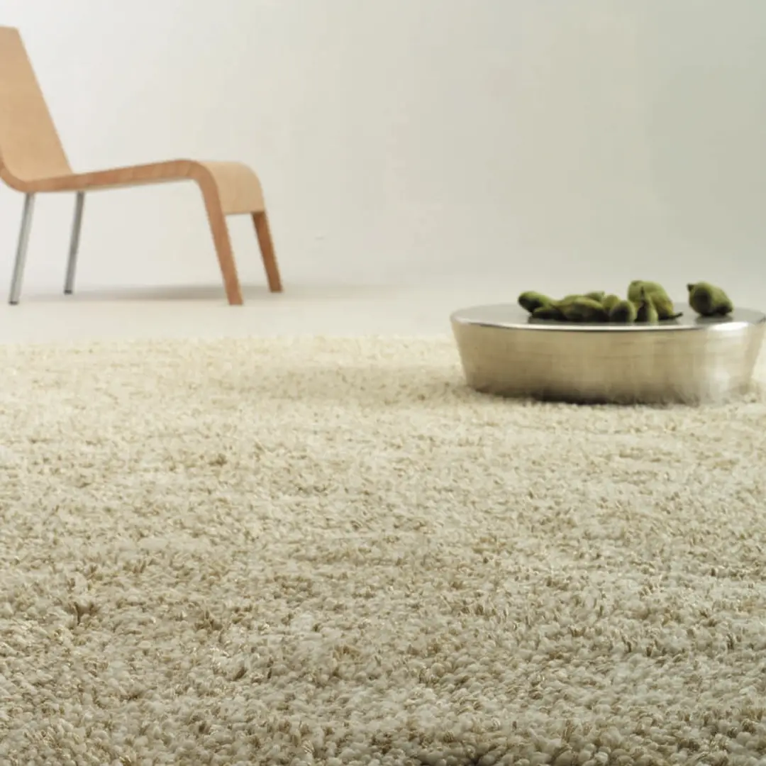 Modern chair and bowl on shaggy beige carpet