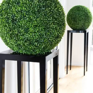 CANAPE ENTRY TABLE