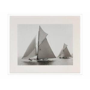 VINTAGE WASP PRINT - Q270