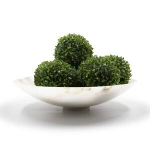 Fresh parsley bunches in white bowl on white background