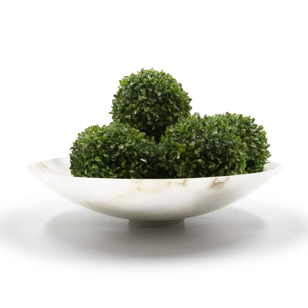 Fresh parsley bunches in white bowl on white background
