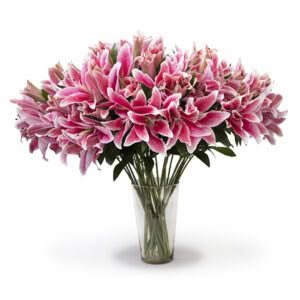 Pink lilies in glass vase on white background