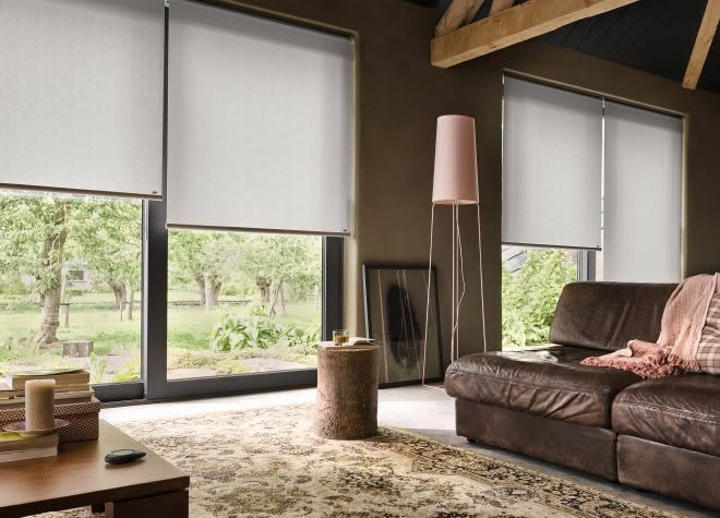 Cozy living room with large windows and modern decor