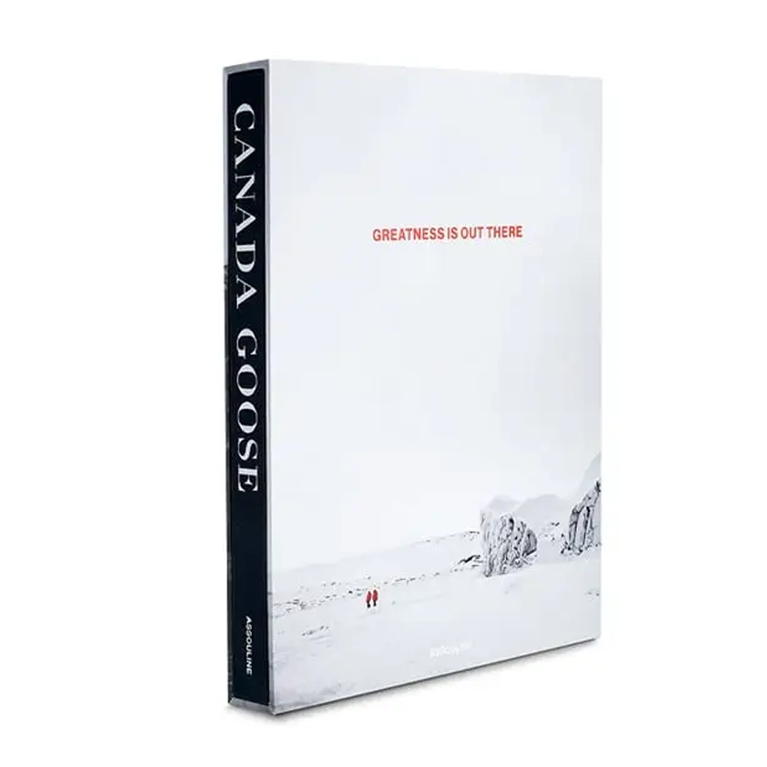 Canada Goose book with snowy landscape cover