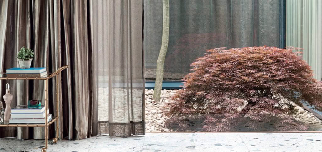 Elegant indoor curtains and outdoor garden with Japanese maple