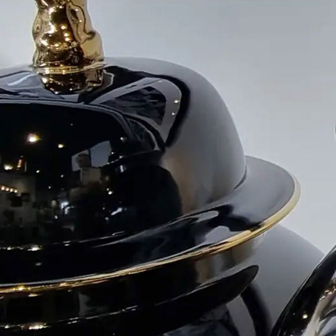 Reflective black helmet with golden emblem detail