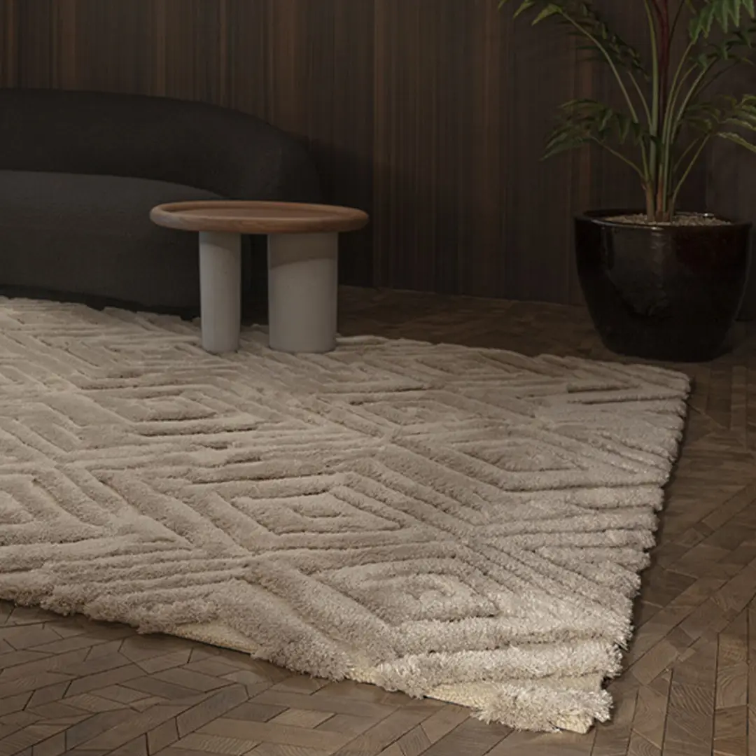 Stylish textured rug in a modern living room