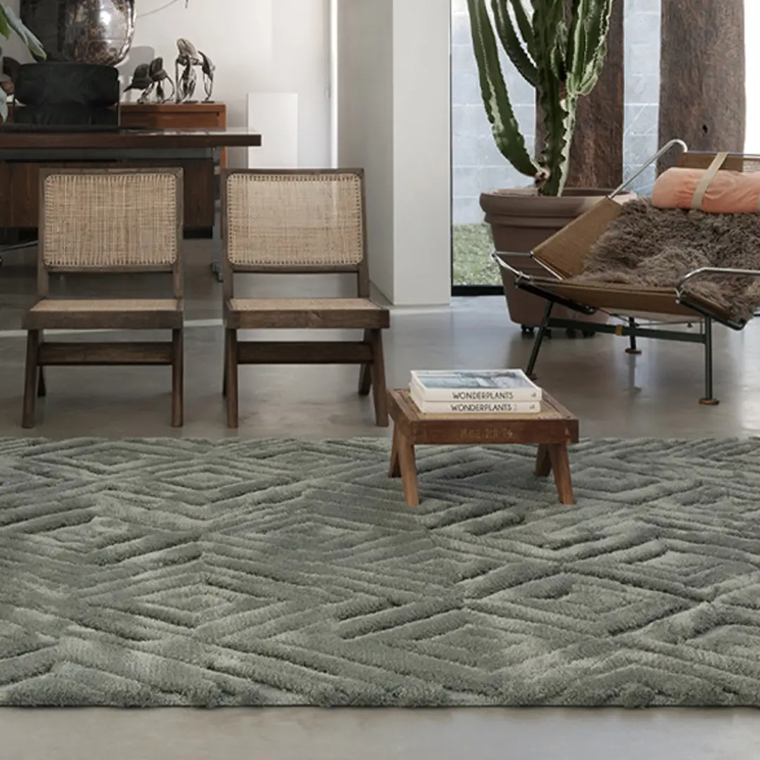 Modern living room with stylish furniture and textured rug