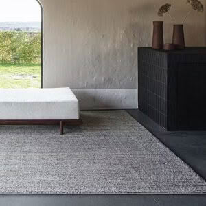 Minimalist interior with couch, rug, and dark fireplace