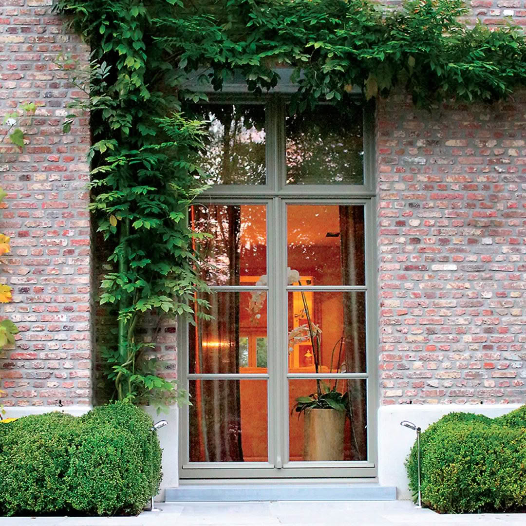 Cozy home interior viewed through a vine-covered window