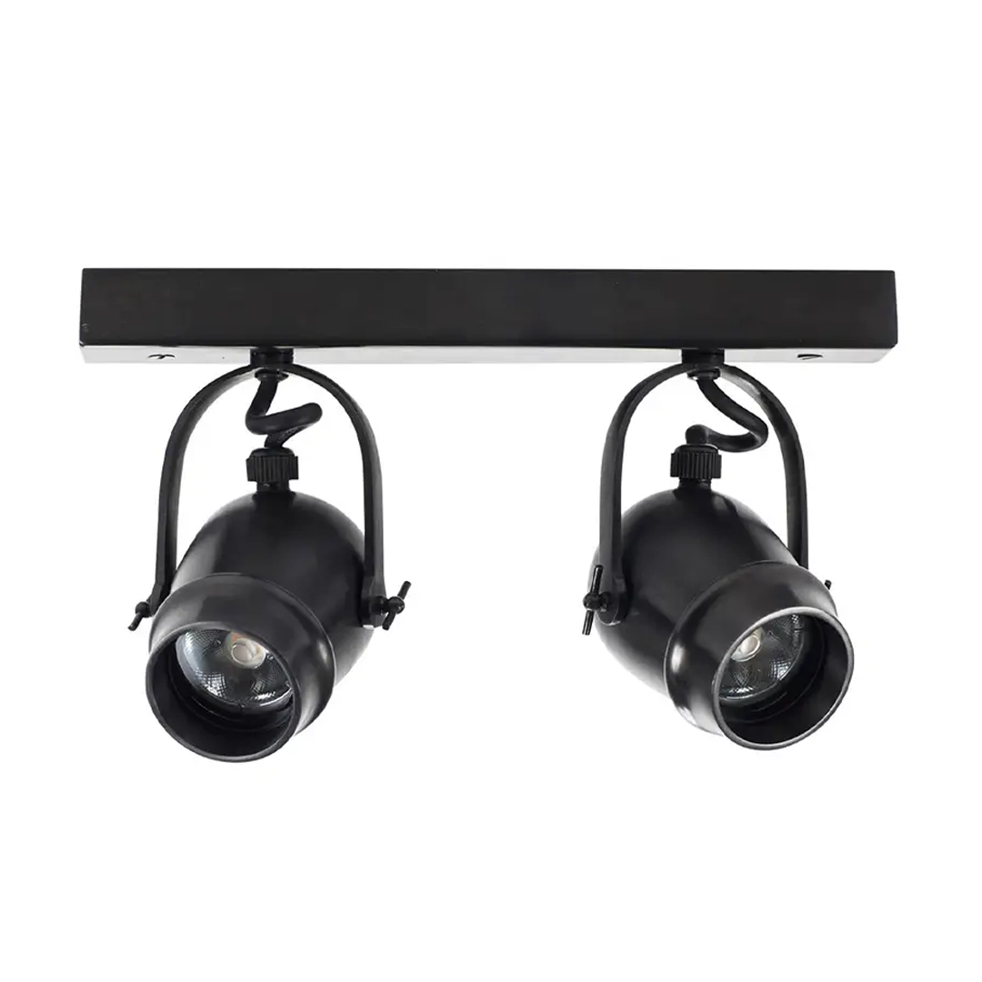 Black track lighting with two adjustable spotlights