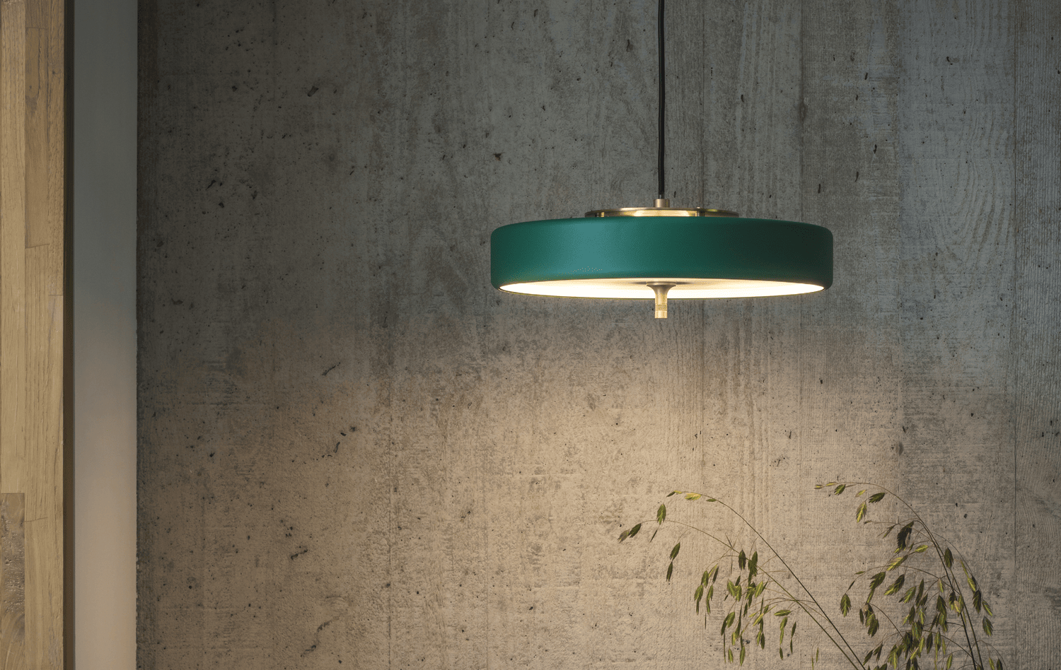 Green pendant light over concrete wall with plant