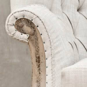 Close-up of a muddy elephant trunk on fabric