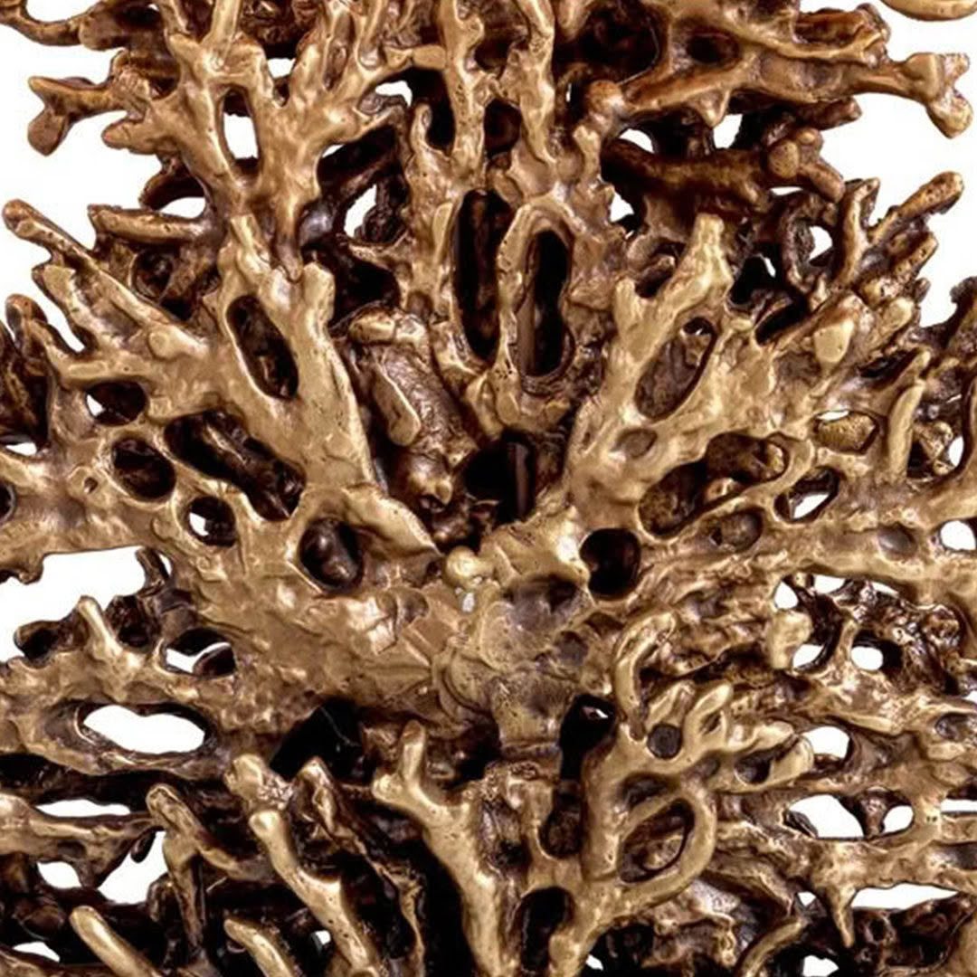Close-up of intricate brown coral texture