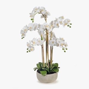 PHALAENOPSIS POTTED IN BOWL - WHITE 100cm H