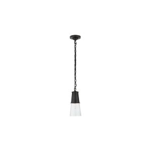 Robinson Small Pendant Bronze with Clear Glass