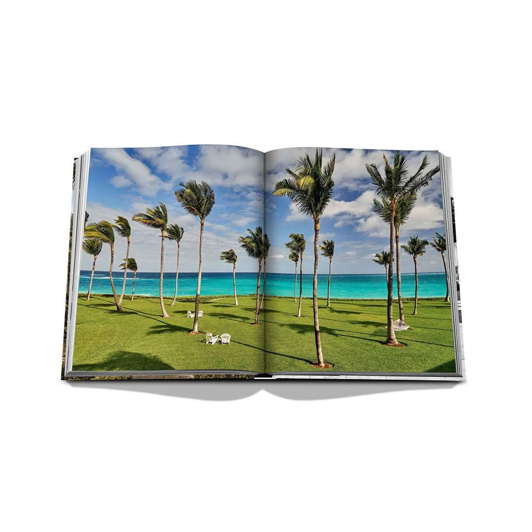 Open book with beach and palm trees image