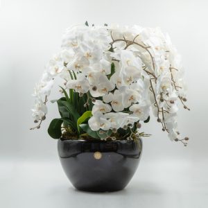 LUXURY GIANT ORCHID BOUQUET - WHITE IN DARK CERAMIC VASE - COTE NOIRE