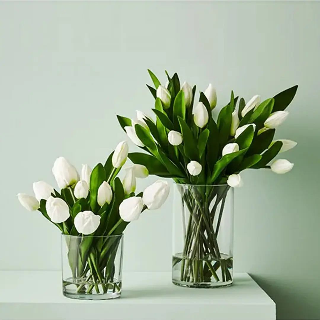 White tulips in glass vases on light green background