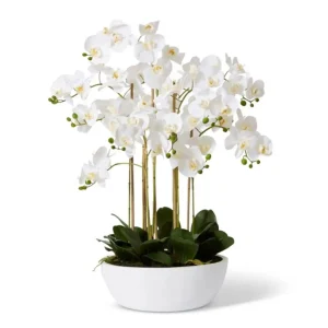 PHALAENOPSIS ORCHID - CURVED BOWL - 80 dia X 85cm H - WHITE - A0.018.WH