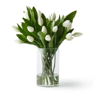 TULIP MIX IN CLEAR VASE - 45cm H - WHITE