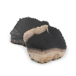 PETRIFIED WOOD COASTERS - SET OF 2