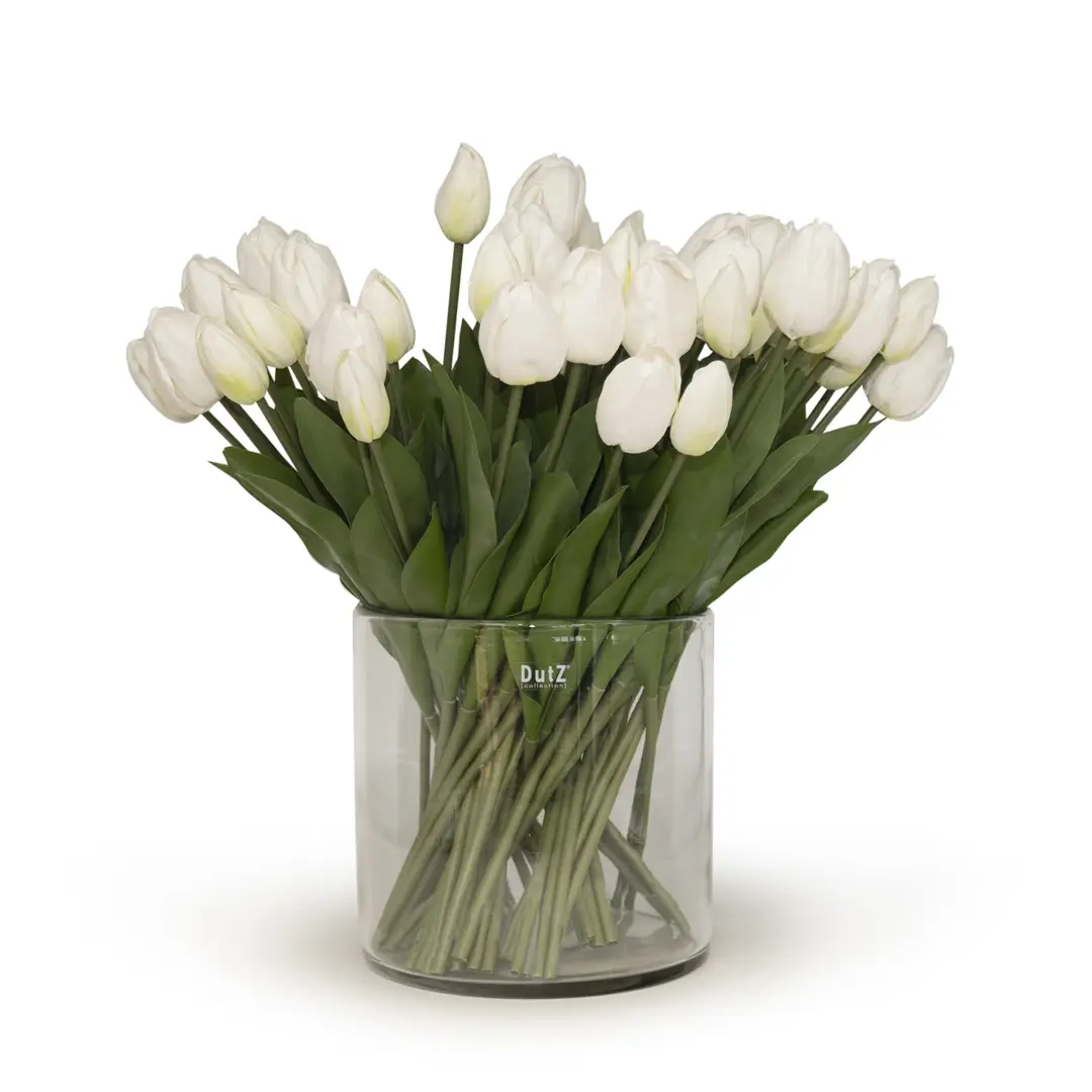 White tulips in clear glass vase