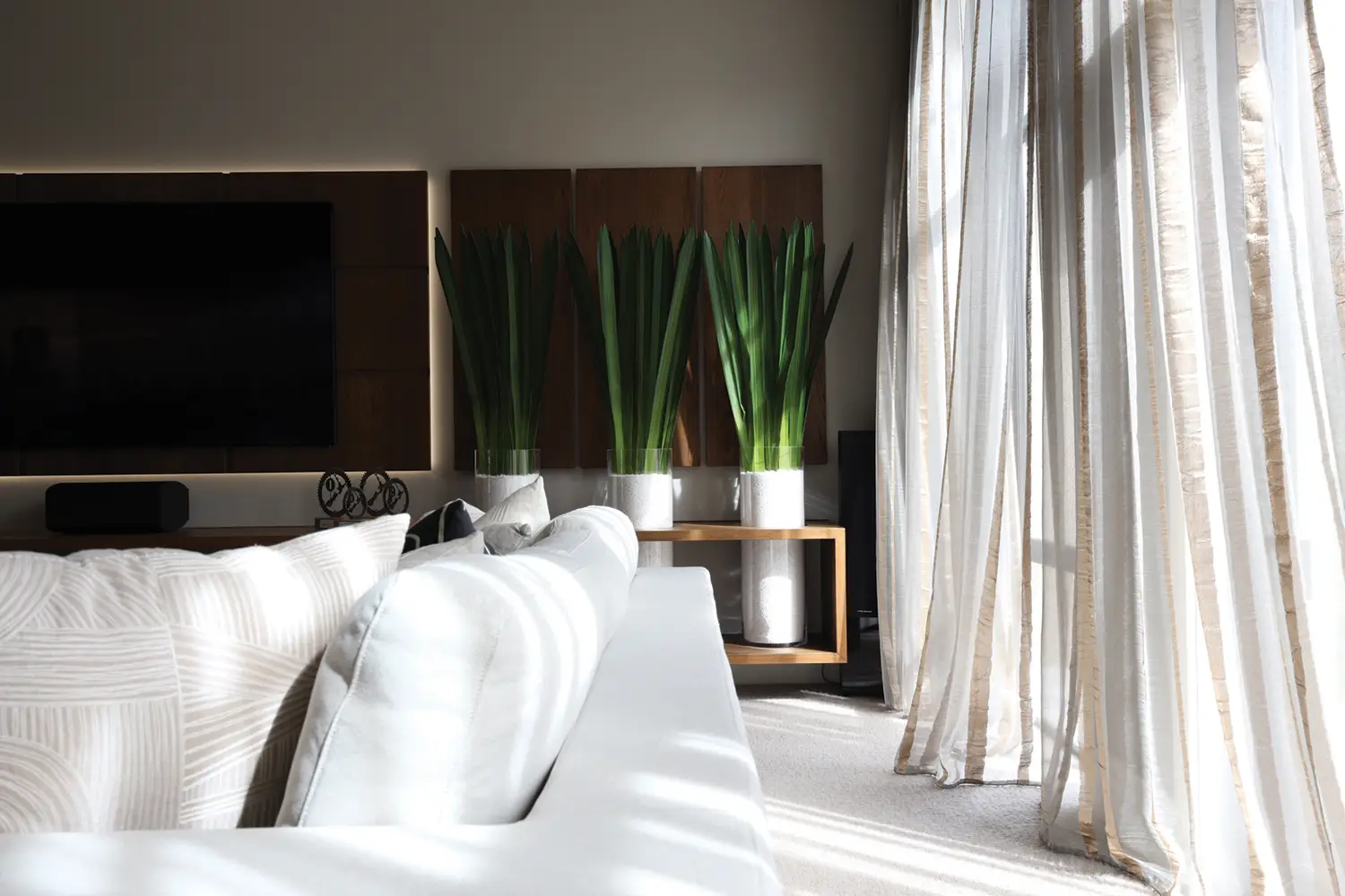 Modern living room with sunlight and green plants