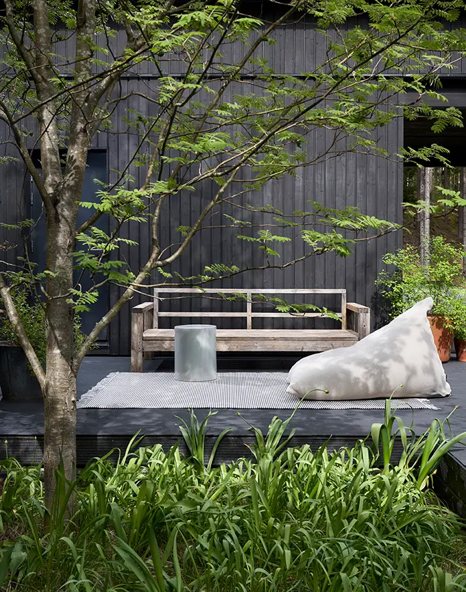 Secluded outdoor patio with wooden bench and lush greenery