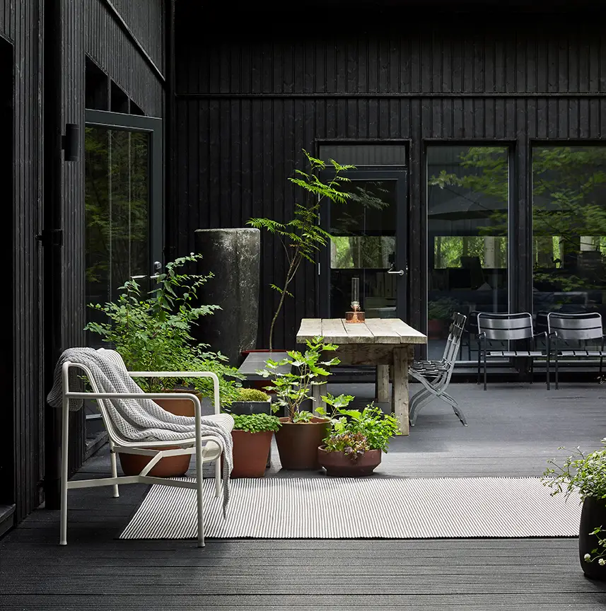 Cozy patio with plants and stylish furniture