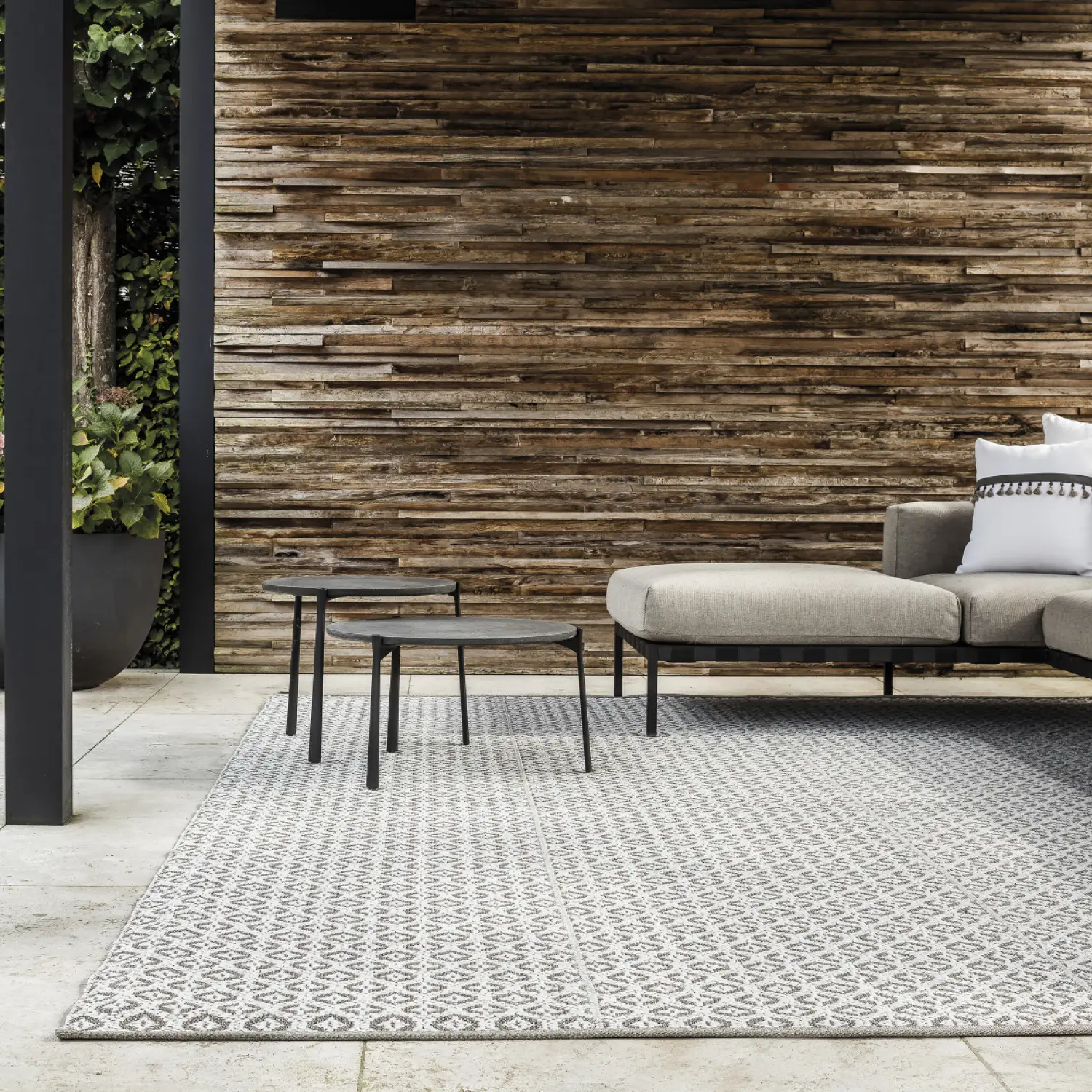 Limited Edition Rugs brand profile Trenzseater Interiors NZ