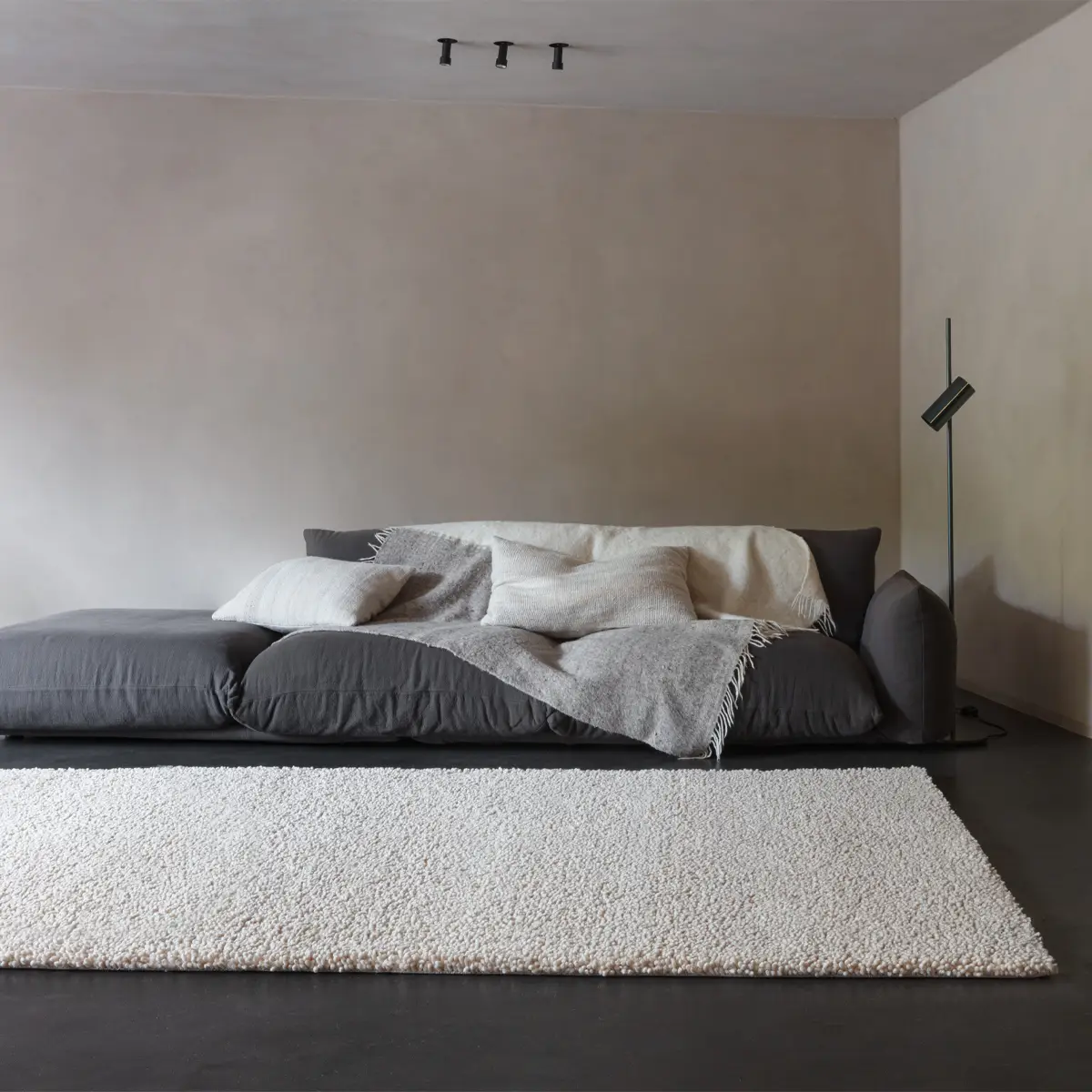 Modern minimalist bedroom with low bed and neutral tones