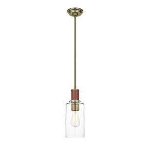 Modern pendant light with clear glass and brass detailing