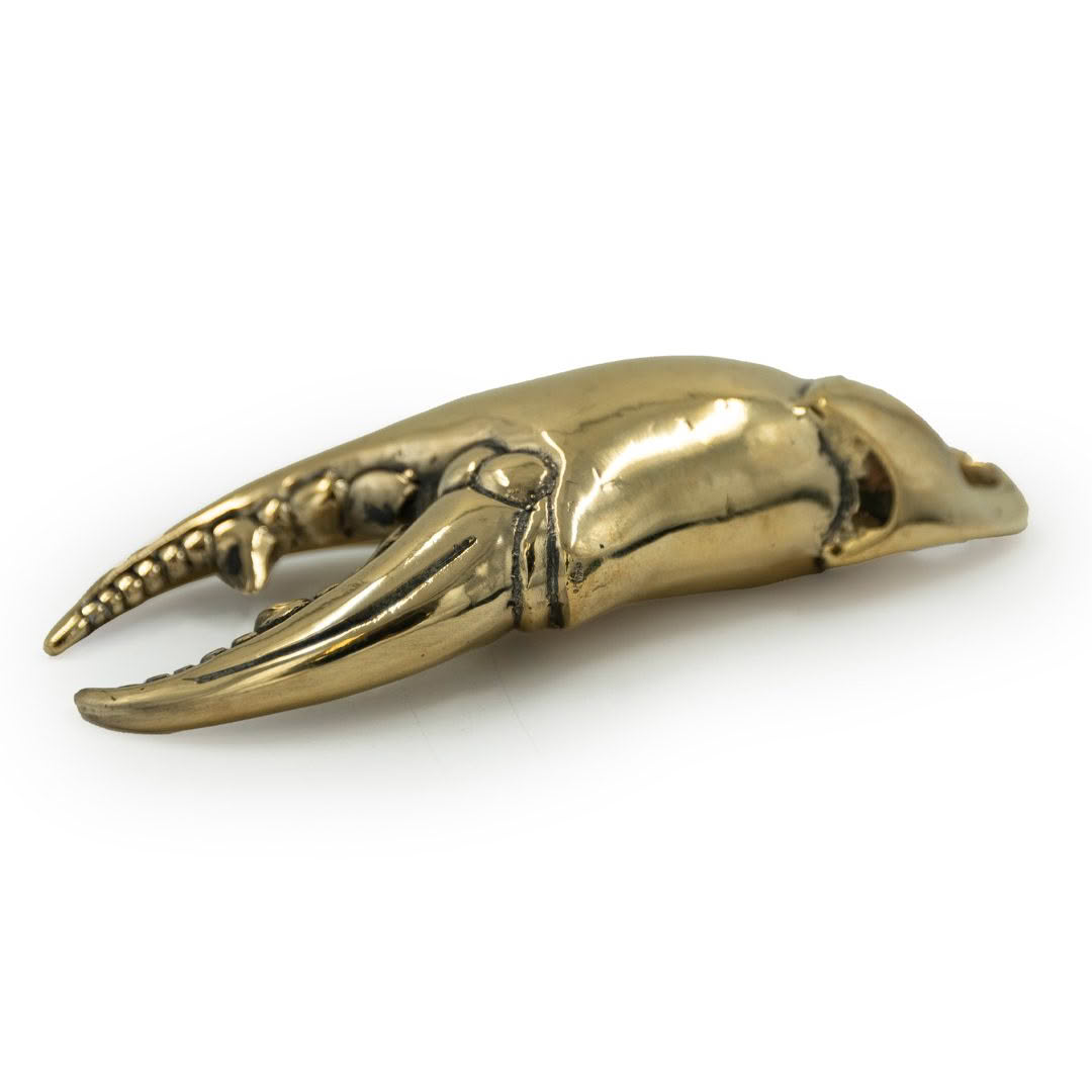 Brass-crab-claw-bottle-opener_2 Golden crab claw replica on white background