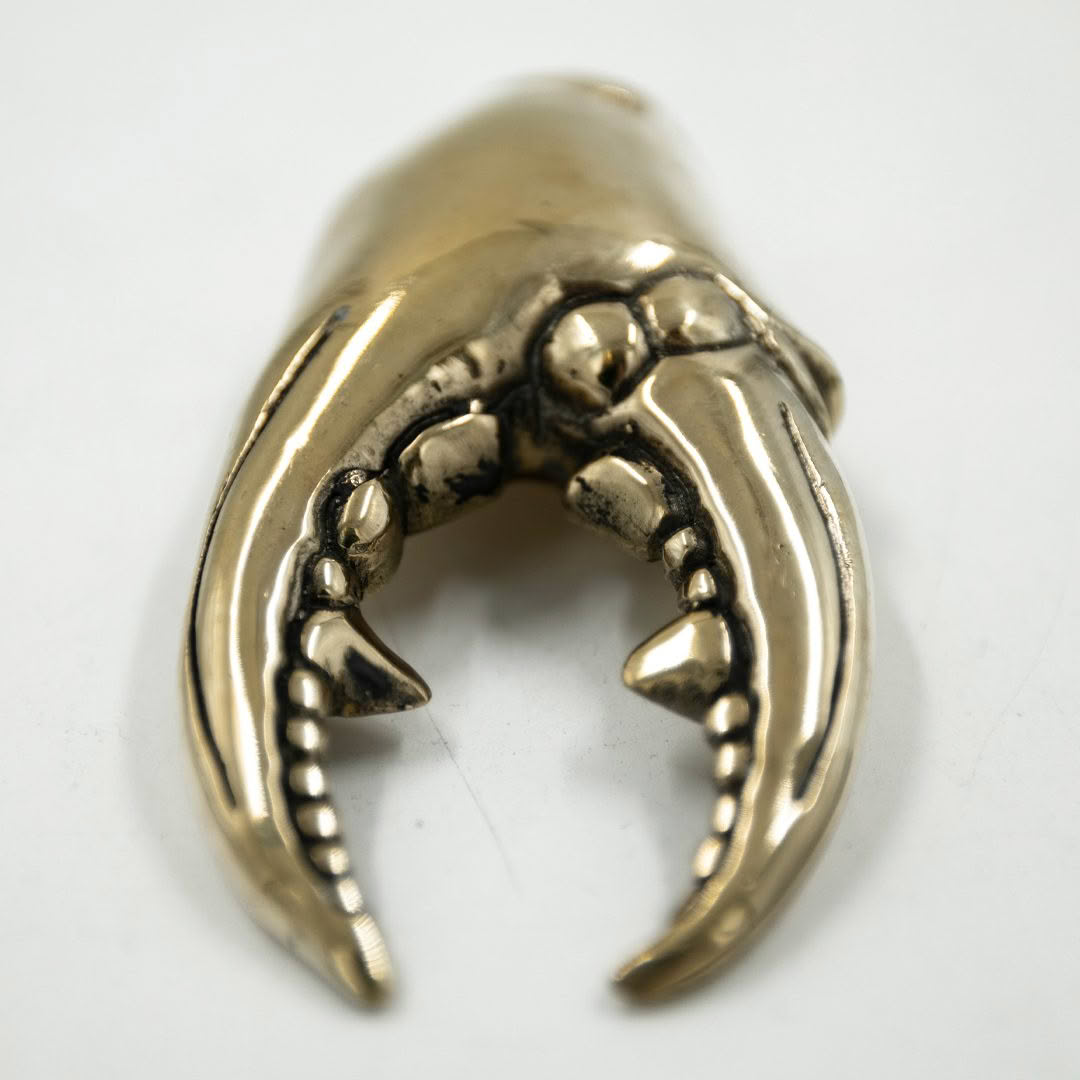 Brass-crab-claw-bottle-opener_4 Gold crab claw pendant on white background