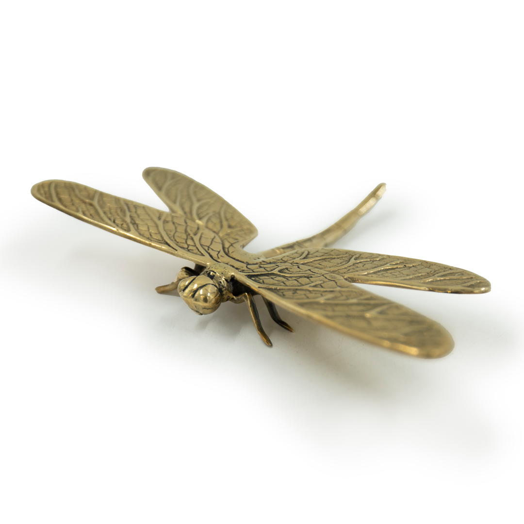 Antique brass dragonfly brooch on white background