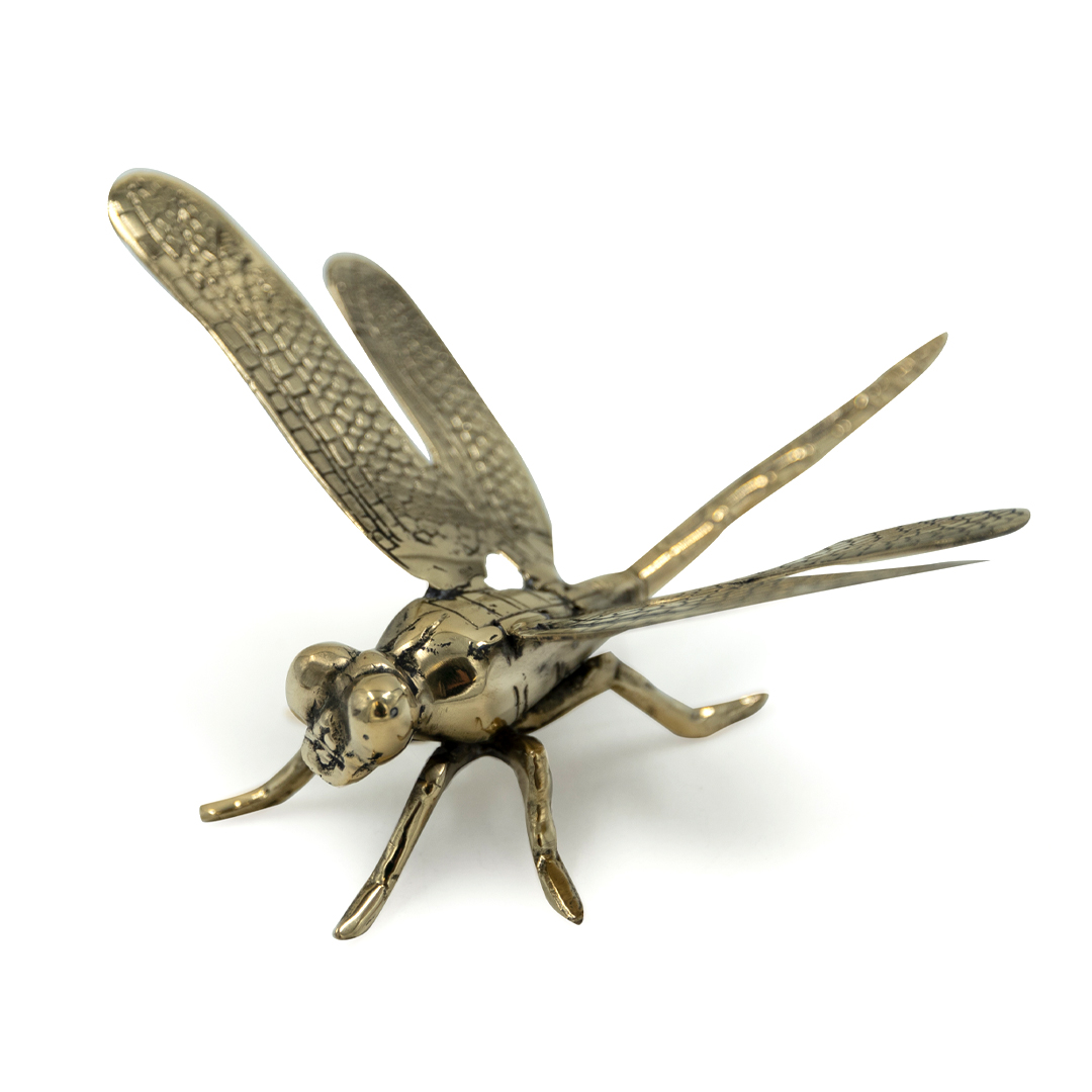Bronze dragonfly sculpture with detailed wings and body