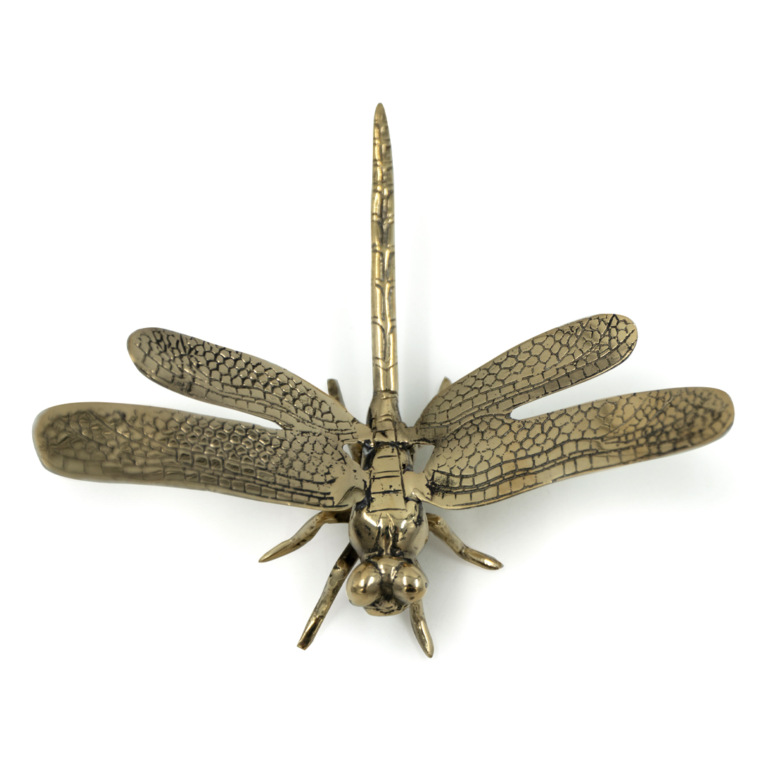 Detailed metallic dragonfly sculpture on white background