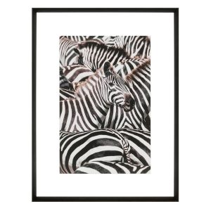 Close-up of zebras with striking black and white stripes