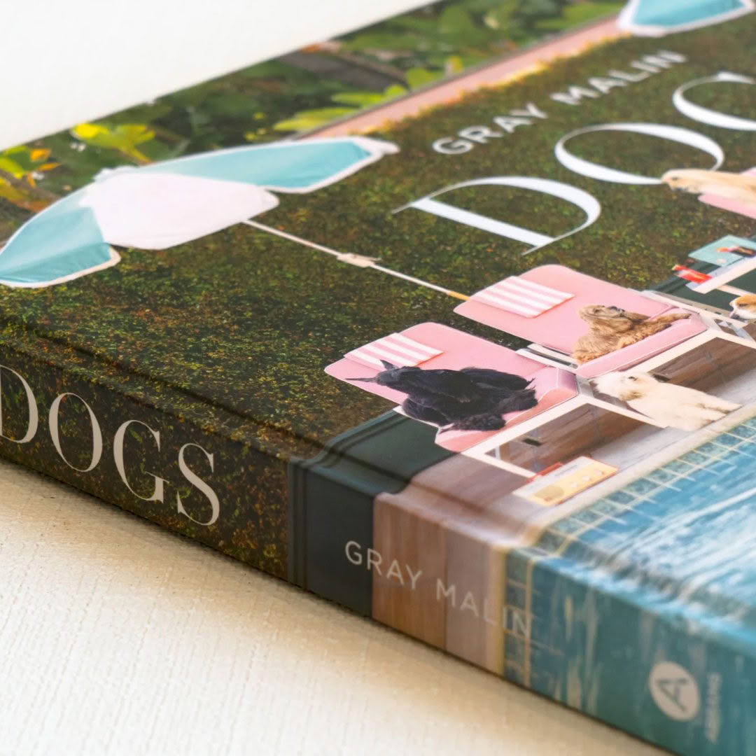 Gray Malin 'Dogs' book cover featuring dogs in loungers