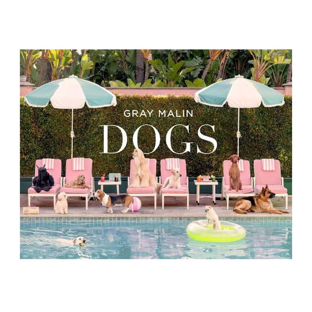 Diverse dogs lounging by pool under umbrellas.