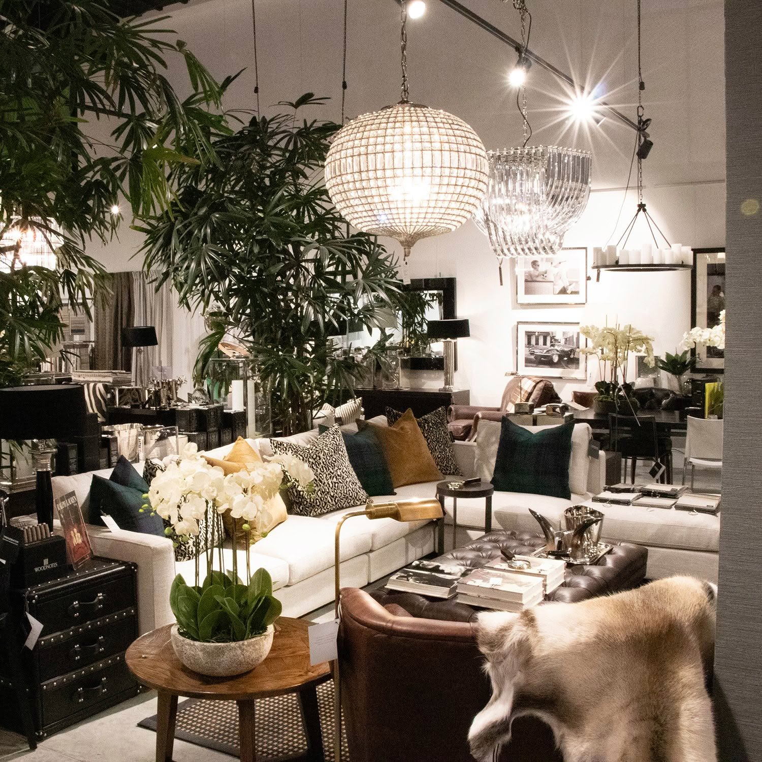 Trenzseater's Queenstown interior design store with luxurious furniture and lighting