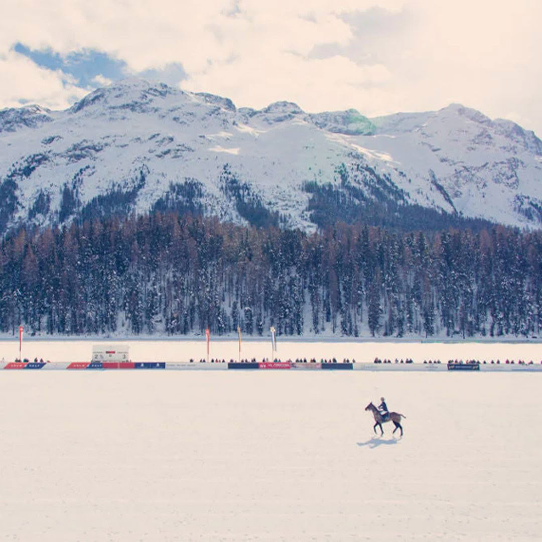 Horse sled racing on snowy field with mountain backdrop