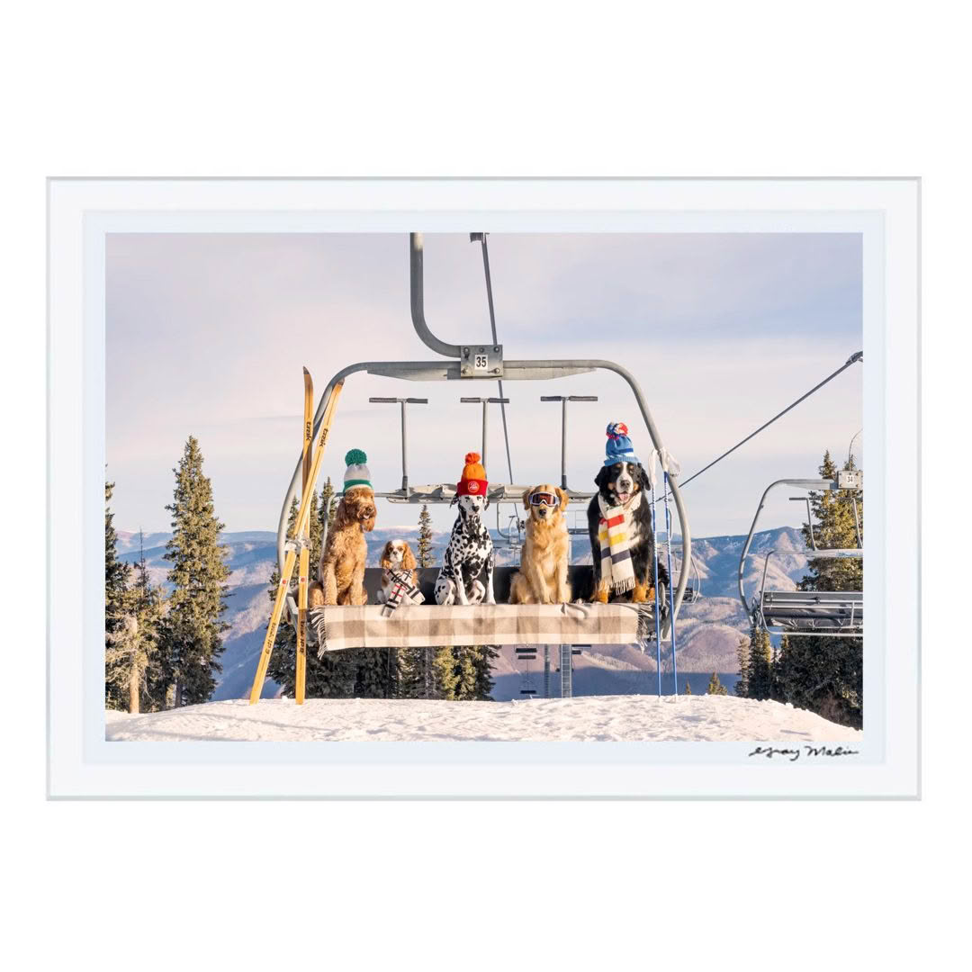 Dogs in winter hats on ski lift over snowy mountains